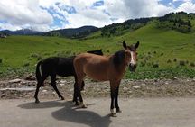 Almaty Region 3 Days Tour from Almaty