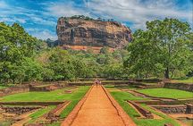 Sigiriya Rock and Village Experience from Colombo,Negombo or Kandy
