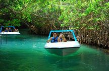 Jungle Adventure Tour in Cancun by Speedboat with Snorkeling