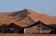 Abu Dhabi Desert Safari Dune Bashing,Came,Belly Dance & BBQ