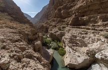 Oman in 3 days - Muscat - Wahiba Sands - Turtle Beach.