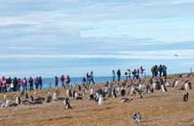 Navigation to South Fjords & Magdalena Island