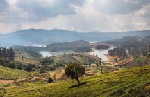 Day Trip to Coonoor (Guided Sightseeing Tour by Car from Ooty)