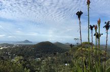 Port Stephens Private Tour From Sydney, with Dolphin/ Whale Cruise Options