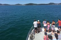 Port Stephens Private Tour From Sydney, with Dolphin/ Whale Cruise Options