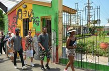 Bob Marley museum plus Devon House Private Day Tour 