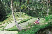 Eat Pray Love Bali Private Tour – Full Day