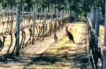 Hunter Valley wine and cheese starting from the Hunter region