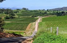 Hunter Valley wine and cheese starting from the Hunter region
