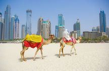 Dubai City Tour with Desert Safari & BBQ Dinner