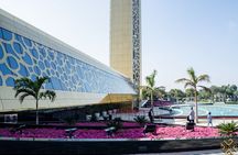 Dubai City Tour with Desert Safari & BBQ Dinner