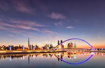Dubai City Tour with Desert Safari & BBQ Dinner