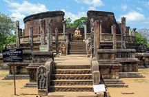 Polonnaruwa Ancient Kingdom and Wild Elephant Safari from Habarana