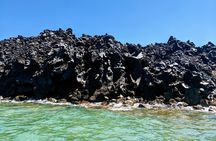 Private Full-Day Motor Yacht Cruise with Meal, Open Bar+Transfers