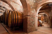 Montepulciano: Winery Tour & Tasting Experience