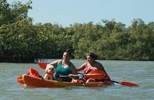 Nauti Exposures - Guided kayak tour through the Mangroves 
