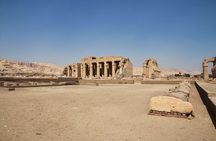Private Tour of Ramesseum Temple and Carter House from Luxor