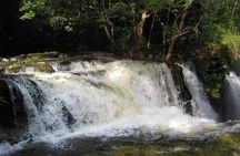 Visit to the Marvelous Waterfalls of Presidente Figueiredo