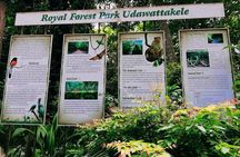 Walk Through Udawatta Kele Sanctuary with Guide