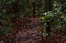 Walk Through Udawatta Kele Sanctuary with Guide