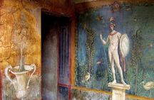 Discover hidden secrets of Pompei on a Private tour with a local
