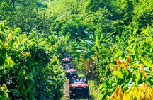Jungle Buggies + Ziplines Adventures