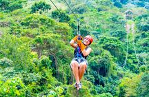 Jungle Buggies + Ziplines Adventures