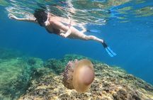 SNORKELING ADVENTURE | Pula Boat