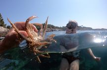 SNORKELING ADVENTURE | Pula Boat