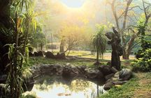 Day Trip to Munnar (Guided Sightseeing Tour by Car from Madurai)