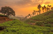 Day Trip to Munnar (Guided Sightseeing Tour by Car from Madurai)