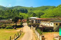 Day Trip to Munnar (Guided Sightseeing Tour by Car from Madurai)