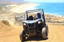 Side by Side With 1 Driver & 2 passengers! Extreme Adventure at the Beach