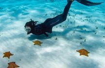 Live this unique snorkeling experience. El Cielo in Cozumel a magical tour.