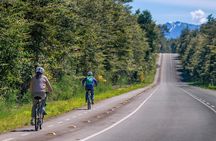 Frutillar Bike Tour from Puerto Varas