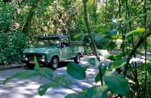 Jeep Tour - Tijuca Tropical Forest