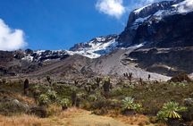 7-Day Private Kilimanjaro Hiking Tour via Machame from Arusha