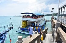 John Gray’s Private Hong by Starlight Tour with Sea Cave Kayaking