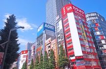 Private Full-Day Tour of Tokyo with Hotel Pickup