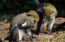 5Days Adventure Tour Of Volta Ghana