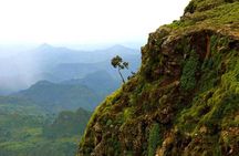 4 Days Trekking to Simien Mountain National Park 