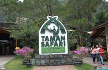 Private guided puncak day tour;Solo;Small Group