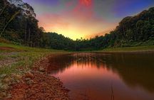 Private guided puncak day tour;Solo;Small Group