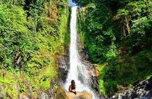 Private guided puncak day tour;Solo;Small Group
