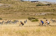 Safari Cycle and !Khwa ttu San Heritage Experience 