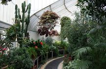 Belfast city tour and Hillsborough - Private shore excursion