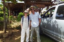 Turtle Nesting Night Tour