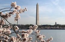 Private Washington Monuments Tour