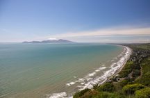 Kapiti Coast and Foxton Area Beaches Day Tour