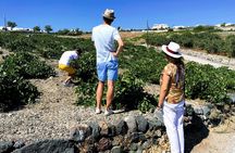 Santorini Food & Wine Tour: Eat and Taste Like a Local